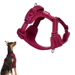 Arnés BuddyArmor para perro todo clima, cómodo y transpirable para paseos diarios.