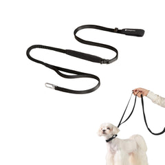 BuddyArmor correa manos libres ajustable para paseos cómodos y seguros.
