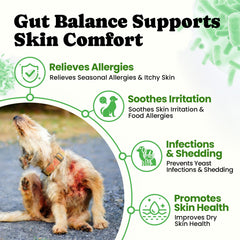 BuddyCheer probióticos para perros: 4 prebióticos para bacterias benéficas.