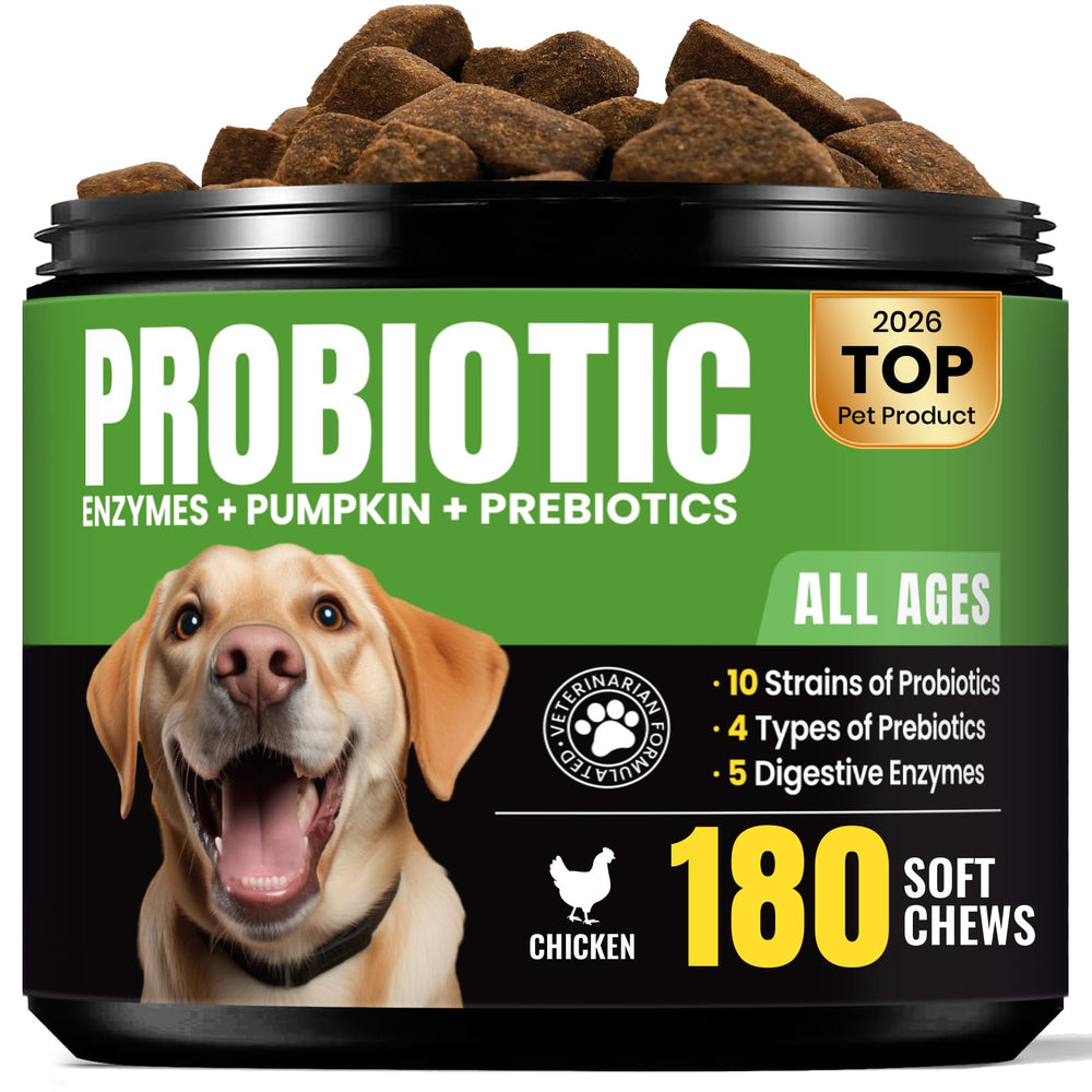 BuddyCheer probióticos para perros: digestión equilibrada y heces formadas