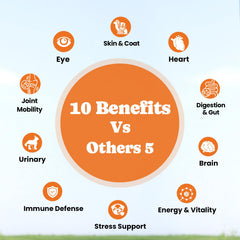 BuddyCheer apoya salud intestinal con probióticos y enzimas