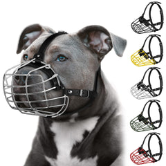 Budkas bozal Pitbull mascara metalica ofrece proteccion durante paseos.