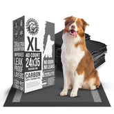 Bulldogology Carbon Black XL: empaque del producto para entrenamiento cómodo en casa
