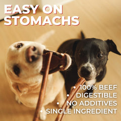 Bully Bunches interior masticable textura, mejora la experiencia de masticar para perros grandes.