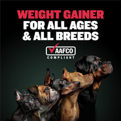 Bully Max Weight Gainer: perro comiendo masticables tocino, fácil de dar