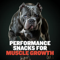 Bully Max: 32% proteína de res para músculos y energía diaria.