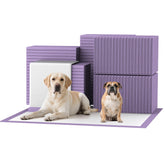 Bulubaky almohadillas absorbentes para perros con lavanda y control de olores en casa.