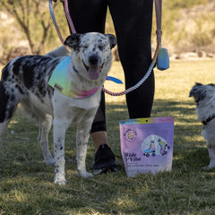 Jerky de salmón Ride & Vibe para perros, snack sabroso durante caminatas.