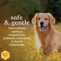 Limpiador de orejas Burt's Bees con menta e hiedra para alivio suave en perros