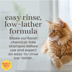 BURT'S BEES FOR PETS champú gatos interiores se enjuaga con facilidad, reduciendo el estrés del baño.