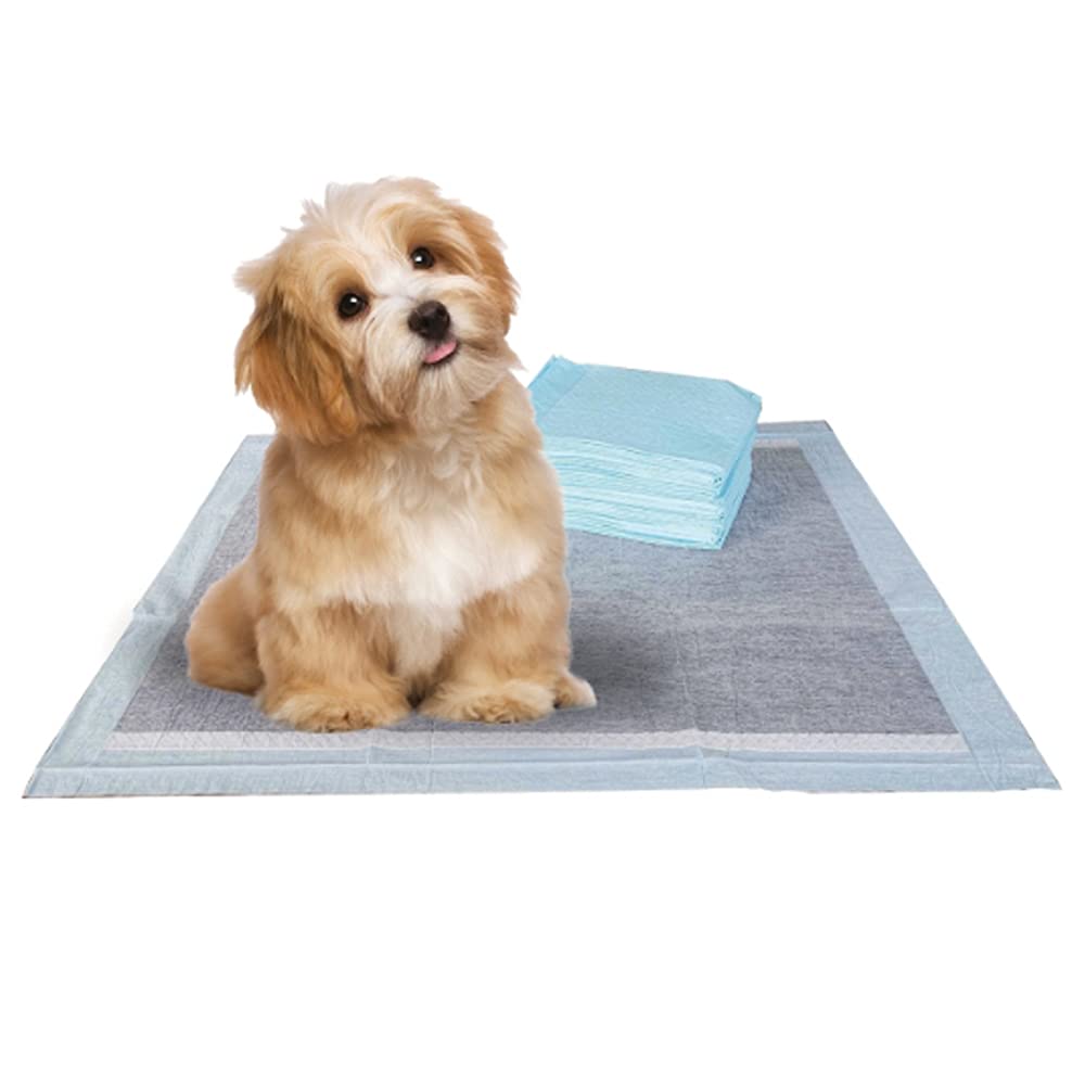 BV Charcoal Puppy Pads con 6 capas para proteger el suelo y evitar filtraciones.