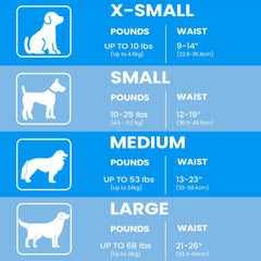 BV Dog Diapers con núcleo de gel absorbente para mayor protección.