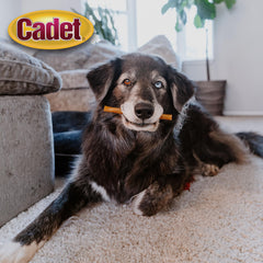 Cadet alternativa sin cuero crudo, digestión más fácil para algunas mascotas.