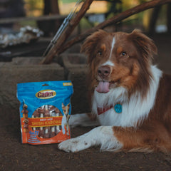 Cadet Gourmet combinación res y verduras, proteínas reales y camote para perros pequeños.