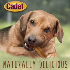 Cadet hueso natural presado de res, 8 pulgadas, opción sabrosa para perros