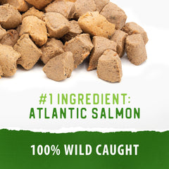 Caledon Farms Freeze-Dried Salmon Bites en boca de perro, premio sabroso.