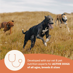 Alimento para perros activos de todas las etapas, fácil de servir y sabroso.
