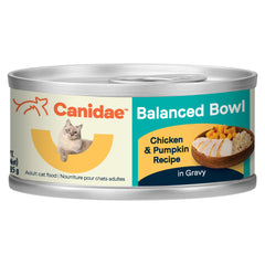 CANIDAE tazón balanceado con pollo y calabaza en salsa, ideal para gatos adultos.