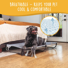 CANINE CANYON Daisy Cot estable para evitar deslizamientos