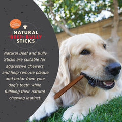 Canine Naturals palitos de ternera grandes: snack proteico para perros grandes
