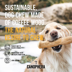 Canophera producto dental de madera de café para perros, textura fibrosa.