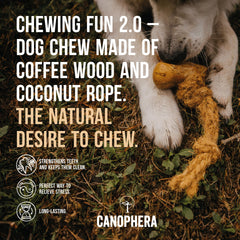 Canophera: madera de café natural para masticar seguro y juego prolongado.