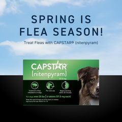 Capstar para perros: tableta antipulgas que inician efectos en 30 minutos.