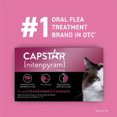 Capstar tableta en la mano, dosis oral rápida para gatos