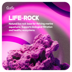 CaribSea LifeRock Dreamscapes: rocas porosas para filtración biológica
