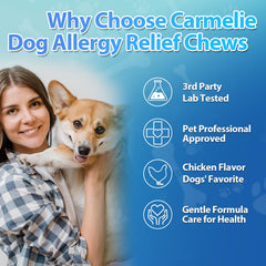 Carmelie digestion sana con probióticos para una digestión suave del perro.