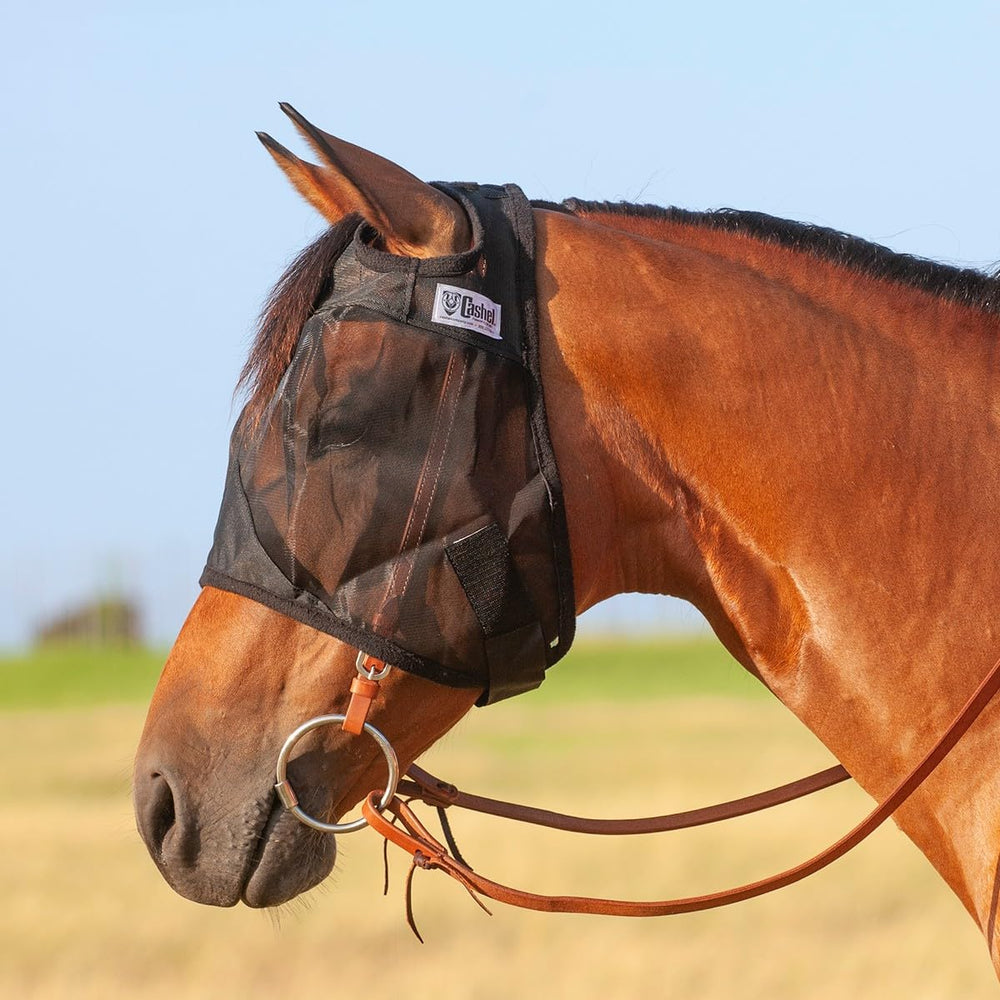 Cashel Quiet Ride máscara para caballo, vista frontal, protege ojos y mejillas