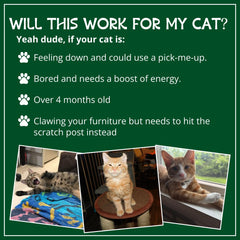 Cat Kush Catnip para juego: anima al gato a rascar y explorar