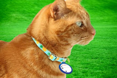 Cat Mate disco ID para collar 310, montaje sencillo en la correa.