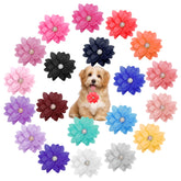 Catcan flor collar perlas: accesorio elegante para realzar la apariencia de tu mascota.