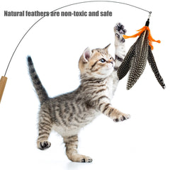 CATENEED plumas suaves Da Bird para gatos en casa.