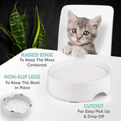 CatGuru diseño compacto encaja en espacios pequeños del hogar