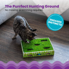 Catstages Grass Patch Hunting Box aperturas para patas que invitan a cazar