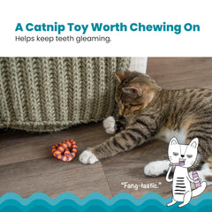 Catstages Plaque Away Pretzel, malla dental e hierba gatera para motivar morder.