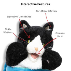 CATSUMO bolsas-catnip integradas: aroma que motiva sesiones de juego