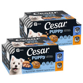 Cesar para cachorros: lata salsa filetes, sabor sabroso y proteína de calidad para cachorros.