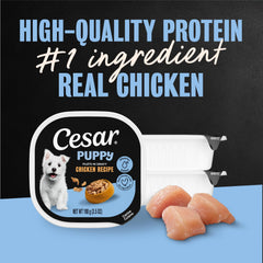 Cesar Puppy Filets en Gravy, ingredientes naturales y pollo como principal.