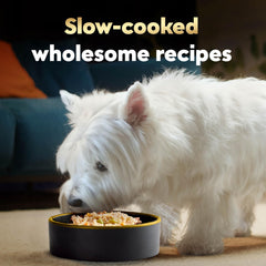 Cesar Wholesome Bowls pollo-manzana-batata, opción completa para perros adultos.