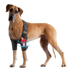 CHAMIN protector codo para perro izquierdo, ajuste cómodo y protección fiable.