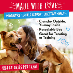Charlee Bear Nuggets Beary Parfait, sabor tentador para perros activos.