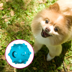 Bola parlante Chase 'n Chomp, superficie texturizada, ofrece rebotes divertidos para perros.