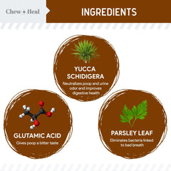 Chew + Heal Labs No Poo Chews, textura suave, fácil de masticar para perros.