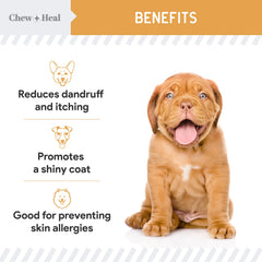 Chew + Heal Labs Omega-3 para perros, fórmula con prebióticos para digestión equilibrada.