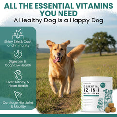 Chew + Heal Labs envase de 120 masticables, ideal para soporte diario de movilidad.