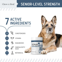 Chew + Heal Labs apoya la memoria y la cognición en perros con ingredientes botánicos.