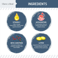 Chew + Heal Labs cuida la visión de perros mayores con nutrientes para retina.